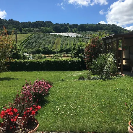 Apartment Casa Al Mare - Francesco Campofilone